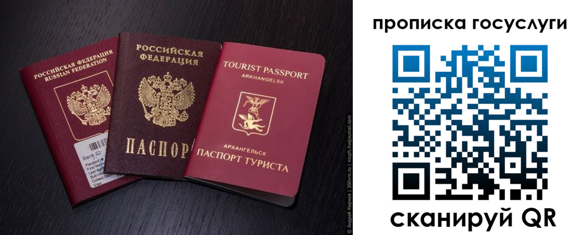 прописка 2025 в Осинниках